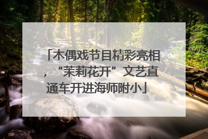 木偶戏节目精彩亮相，“茉莉花开”文艺直通车开进海师附小