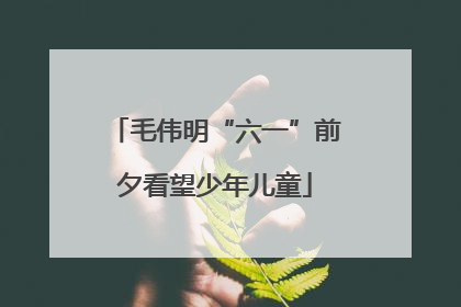毛伟明“六一”前夕看望少年儿童