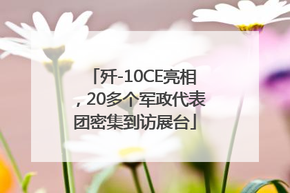 歼-10CE亮相，20多个军政代表团密集到访展台