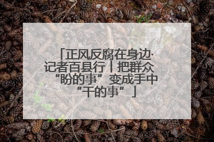 正风反腐在身边·记者百县行丨把群众“盼的事”变成手中“干的事”