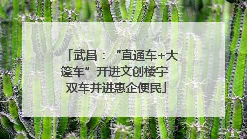 武昌：“直通车+大篷车”开进文创楼宇 双车并进惠企便民