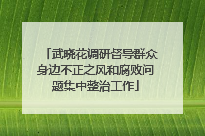 武晓花调研督导群众身边不正之风和腐败问题集中整治工作