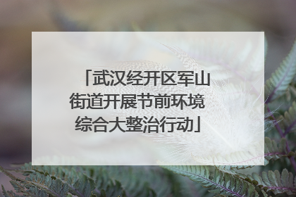 武汉经开区军山街道开展节前环境综合大整治行动