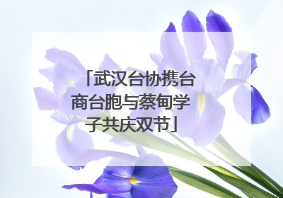 武汉台协携台商台胞与蔡甸学子共庆双节