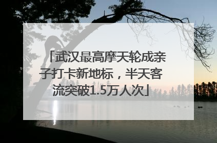 武汉最高摩天轮成亲子打卡新地标，半天客流突破1.5万人次
