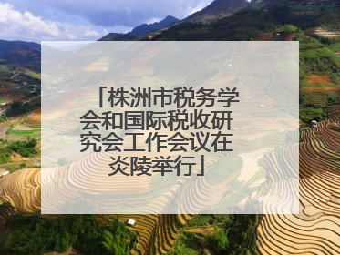 株洲市税务学会和国际税收研究会工作会议在炎陵举行
