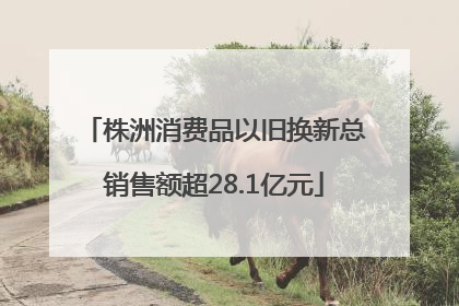 株洲消费品以旧换新总销售额超28.1亿元
