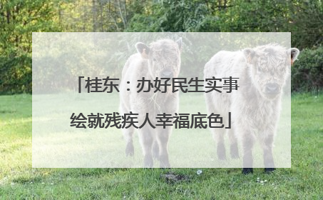 桂东：办好民生实事 绘就残疾人幸福底色