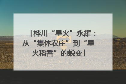 桦川“星火”永耀：从“集体农庄”到“星火稻香”的蜕变