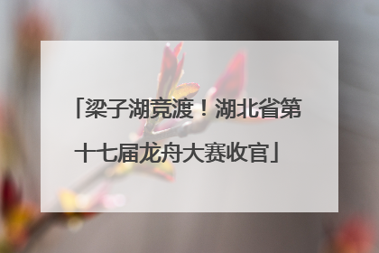 梁子湖竞渡！湖北省第十七届龙舟大赛收官