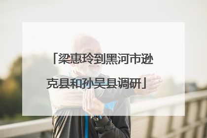 梁惠玲到黑河市逊克县和孙吴县调研
