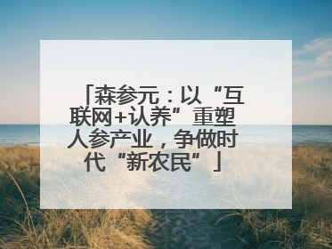 森参元：以“互联网+认养”重塑人参产业，争做时代“新农民”