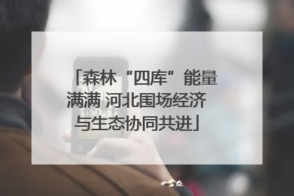森林“四库”能量满满 河北围场经济与生态协同共进