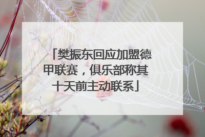 樊振东回应加盟德甲联赛，俱乐部称其十天前主动联系
