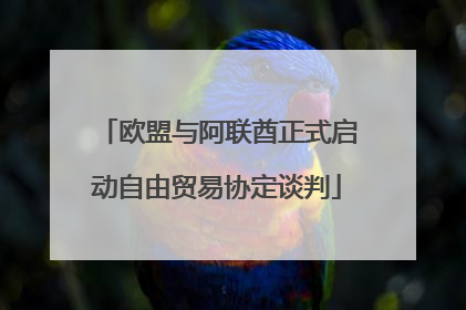 欧盟与阿联酋正式启动自由贸易协定谈判