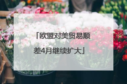 欧盟对美贸易顺差4月继续扩大