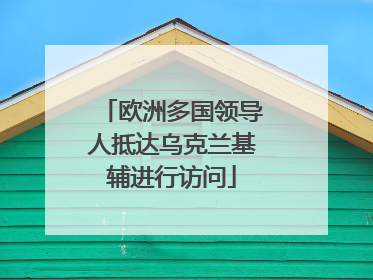 欧洲多国领导人抵达乌克兰基辅进行访问