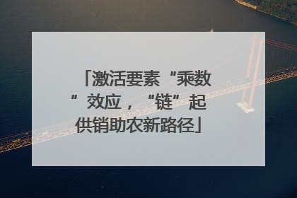 激活要素“乘数”效应，“链”起供销助农新路径