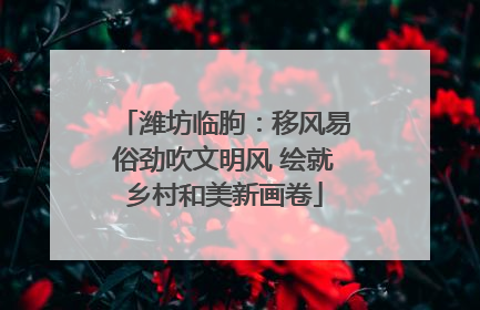 潍坊临朐：移风易俗劲吹文明风 绘就乡村和美新画卷