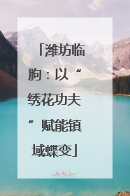 潍坊临朐：以“绣花功夫”赋能镇域蝶变