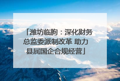 潍坊临朐：深化财务总监委派制改革 助力县属国企合规经营