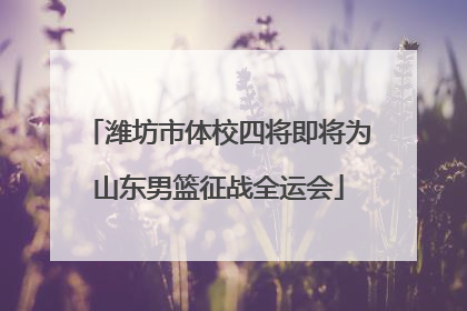 潍坊市体校四将即将为山东男篮征战全运会