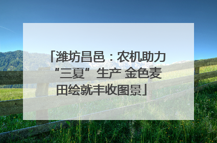 潍坊昌邑：农机助力“三夏”生产 金色麦田绘就丰收图景