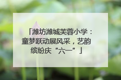 潍坊潍城芙蓉小学：童梦跃动展风采，艺韵缤纷庆“六一”