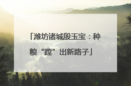 潍坊诸城殷玉宝：种粮“蹚”出新路子