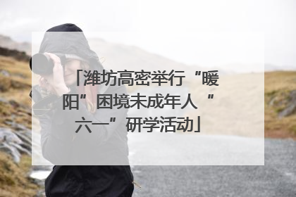 潍坊高密举行“暖阳”困境未成年人“六一”研学活动