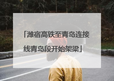 潍宿高铁至青岛连接线青岛段开始架梁