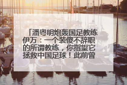 潘粤明炮轰国足教练伊万：一个装傻不辞职的所谓教练，你指望它拯救中国足球！此前曾多次发文评价国足