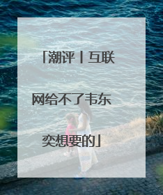 潮评丨互联网给不了韦东奕想要的