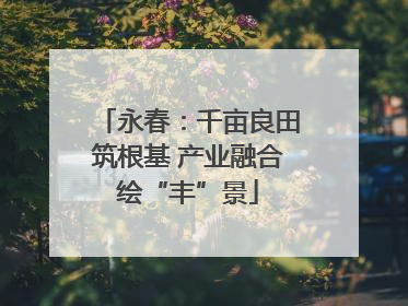 永春：千亩良田筑根基 产业融合绘“丰”景
