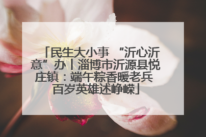 民生大小事 “沂心沂意”办丨淄博市沂源县悦庄镇：端午粽香暖老兵 百岁英雄述峥嵘
