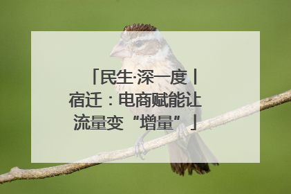 民生·深一度丨宿迁：电商赋能让流量变“增量”