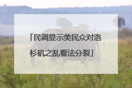 民调显示美民众对洛杉矶之乱看法分裂
