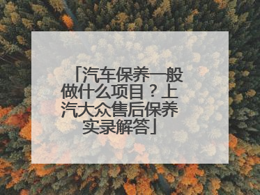 汽车保养一般做什么项目？上汽大众售后保养实录解答
