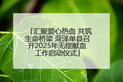 汇聚爱心热血 共筑生命桥梁 菏泽单县召开2025年无偿献血工作启动仪式