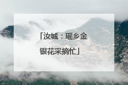 汝城：瑶乡金银花采摘忙