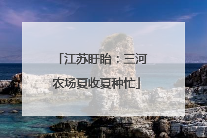江苏盱眙：三河农场夏收夏种忙