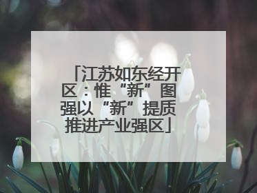 江苏如东经开区：惟“新”图强以“新”提质推进产业强区