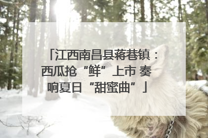 江西南昌县蒋巷镇：西瓜抢“鲜”上市 奏响夏日“甜蜜曲”
