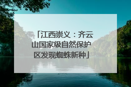 江西崇义：齐云山国家级自然保护区发现蜘蛛新种