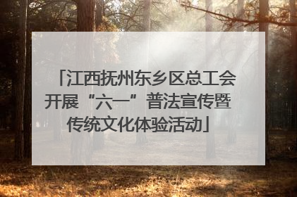 江西抚州东乡区总工会开展“六一”普法宣传暨传统文化体验活动