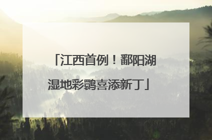 江西首例！鄱阳湖湿地彩鹮喜添新丁