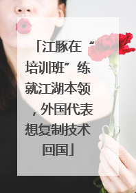 江豚在“培训班”练就江湖本领，外国代表想复制技术回国