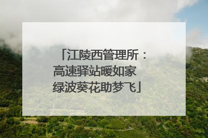 江陵西管理所：高速驿站暖如家 绿波葵花助梦飞