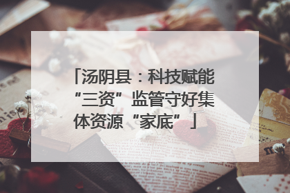 汤阴县：科技赋能“三资”监管守好集体资源“家底”