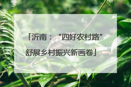 沂南：“四好农村路”舒展乡村振兴新画卷